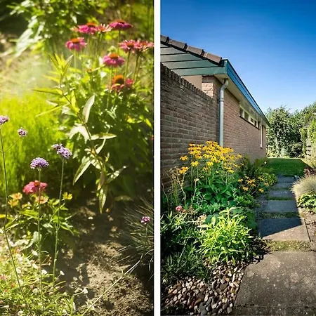 Solaris Casa de Férias *