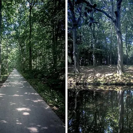 Solaris * Egmond aan den Hoef