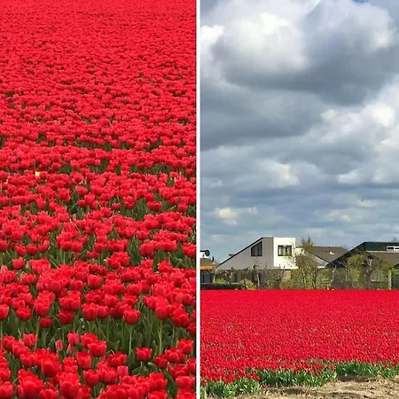 Holiday home Solaris