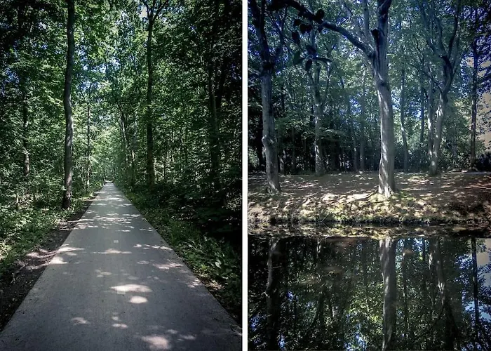 Solaris * Egmond aan den Hoef