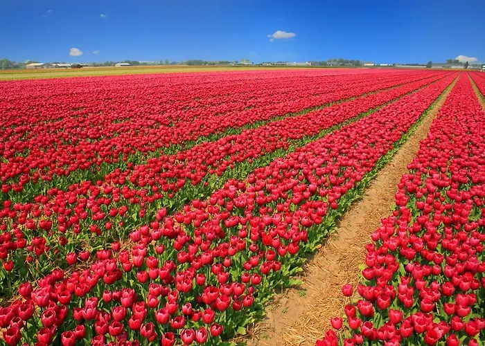 Vakantiehuis Solaris